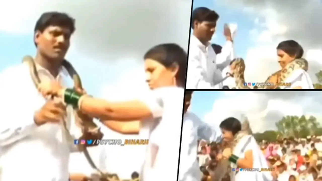 Bride, groom exchange snake garlands as part of bizarre rituals