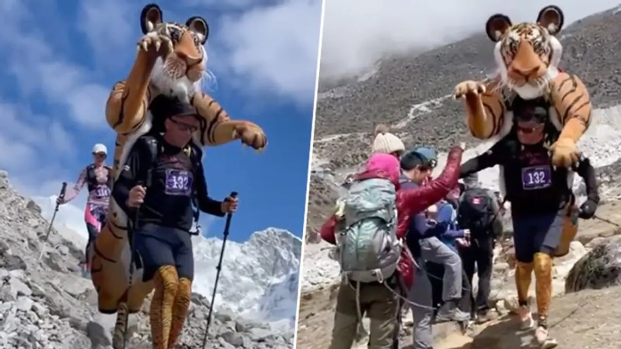 Wildlife photographer runs ‘Everest marathon’ to save tigers; watch