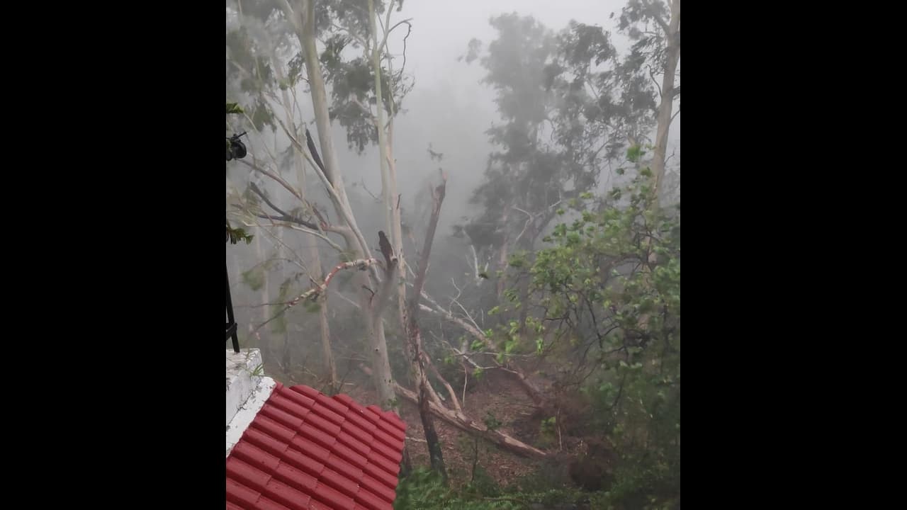 सौ किमी की रफ्तार वाली हवाओं और तेज बारिश ने रोकी दिल्ली की रफ्तार, दो लोगों की मौत, कई फ्लाइट्स डायवर्ट सौ किमी की रफ्तार वाली हवाओं और तेज बारिश ने रोकी दिल्ली की रफ्तार, दो लोगों की मौत, कई फ्लाइट्स डायवर्ट