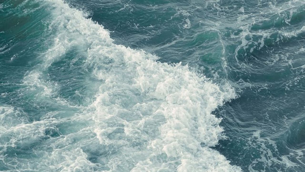 দূষণের হাত থেকে সমুদ্রকে রক্ষার বার্তা দিতে পালিত হচ্ছে বিশ্ব সমুদ্র দিবস, জেনে নিন বিস্তারিত দূষণের হাত থেকে সমুদ্রকে রক্ষার বার্তা দিতে পালিত হচ্ছে বিশ্ব সমুদ্র দিবস, জেনে নিন বিস্তারিত