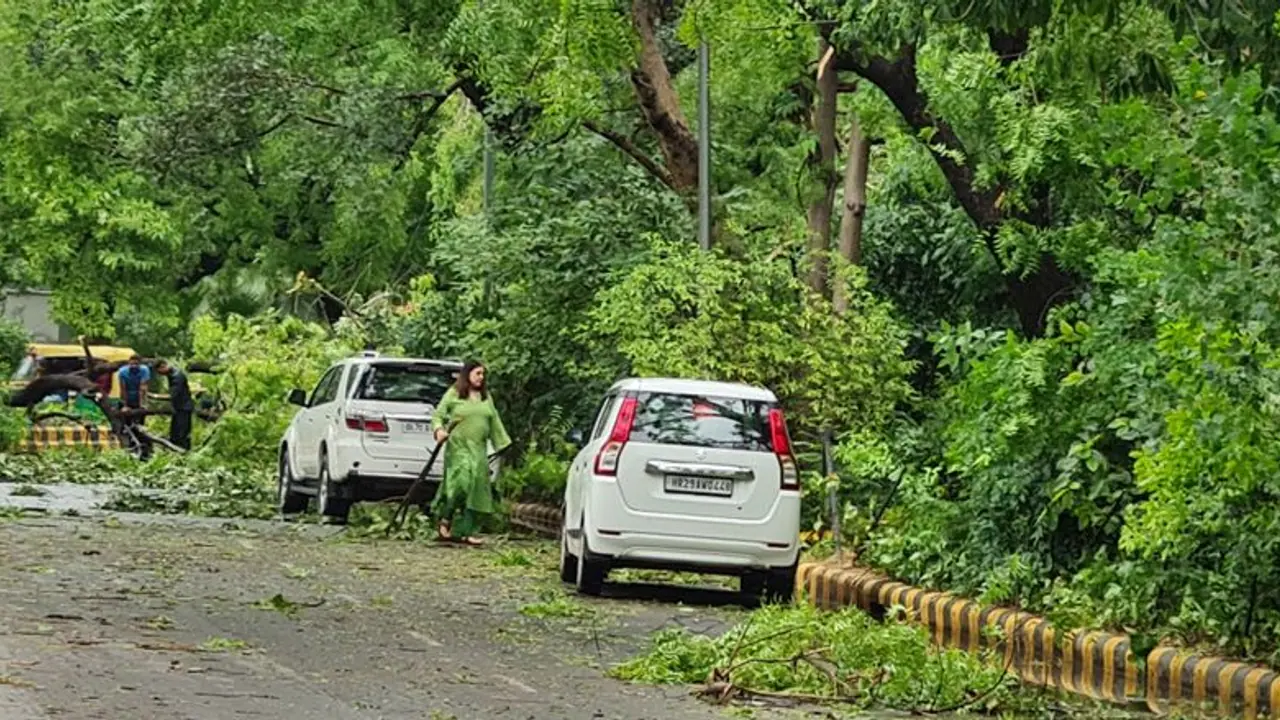 Weather report: दिल्ली में आंधी से उखड़े पेड़, मेनका गांधी खुद हटाते दिखीं, कई राज्यों में भारी बारिश का अलर्ट