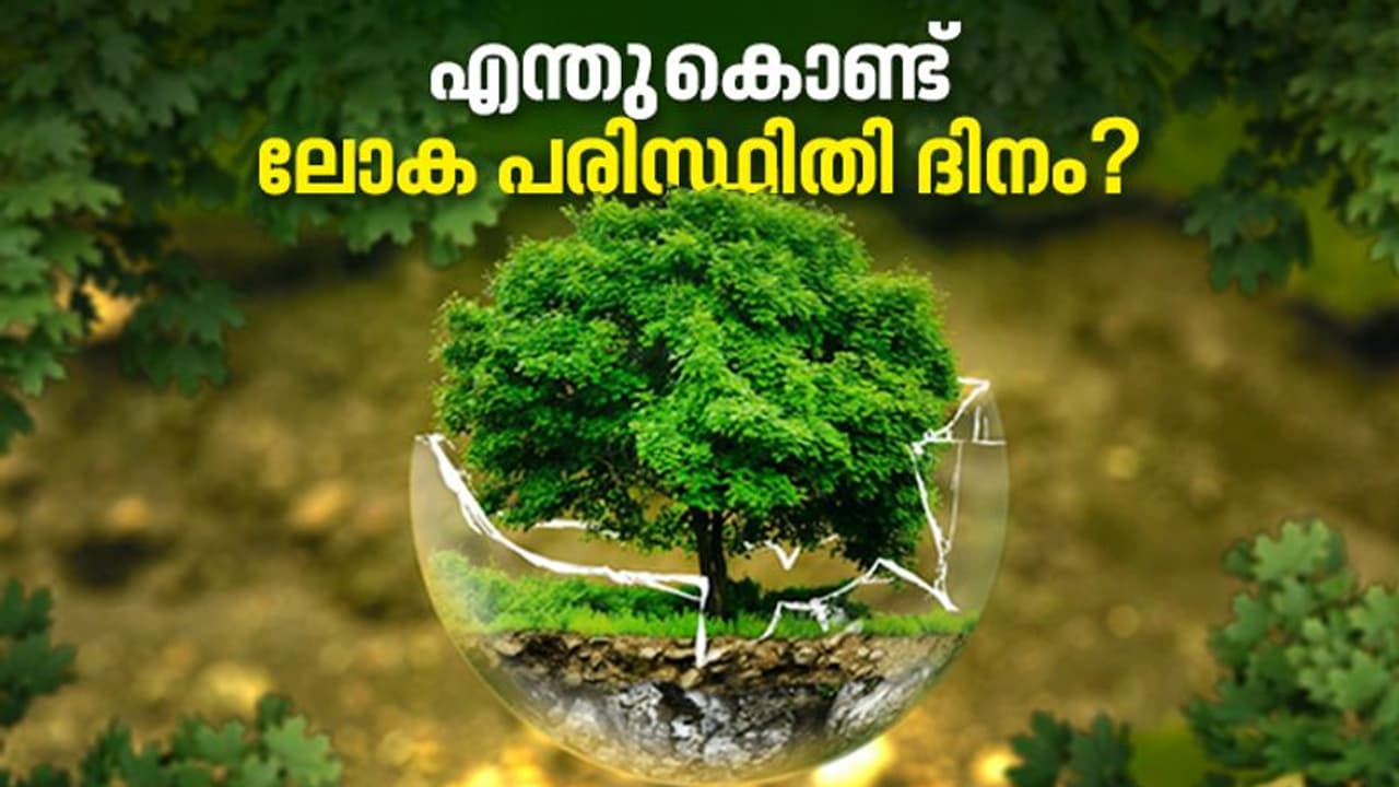 World environment day 2022 : എന്തിന് ലോക പരിസ്ഥിതി ദിനം? എന്തുകൊണ്ട് ലോക പരിസ്ഥിതി ദിനം? 