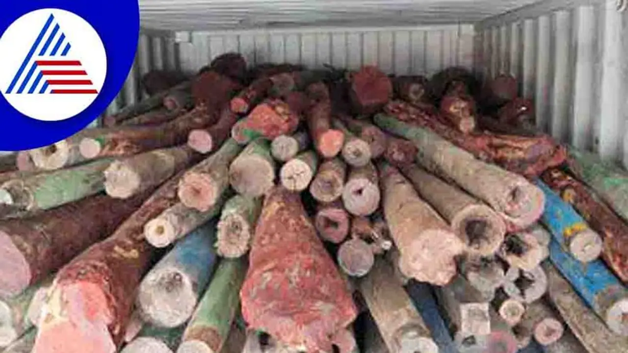 ರೂ. 11.70 ಕೋಟಿ ಮೌಲ್ಯದ ರಕ್ತಚಂದನ ಜಪ್ತಿ: ಅಲ್ಲು ಅರ್ಜುನ್‌ ಪುಷ್ಪಾ ನೆನಪಿಸಿದ ದಾಳಿ