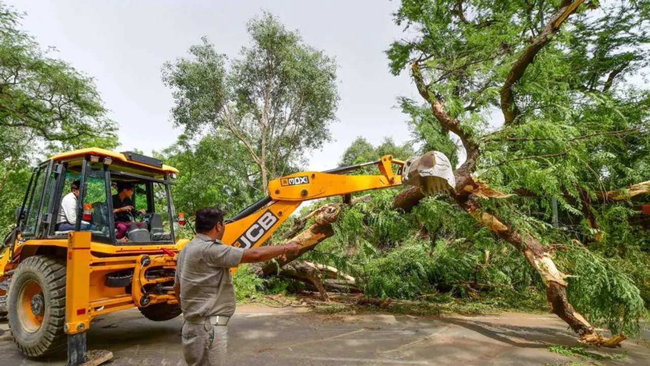 ಮರಗಳನ್ನು ಕತ್ತರಿಸಿದ್ದಕ್ಕೆ ನೆಡುತೋಪು ಯೋಜನೆ ಜಾರಿ ಮಾಡಿ: ಹೈಕೋರ್ಟ್