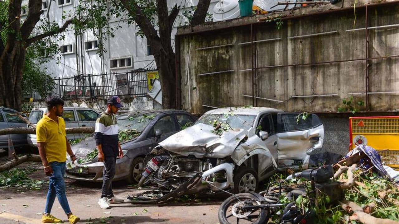कार और बाइक पर गिर गया है पेड़ तो चिंता की बात नहीं, जानें क्लेम करने का तरीका कार और बाइक पर गिर गया है पेड़ तो चिंता की बात नहीं, जानें क्लेम करने का तरीका