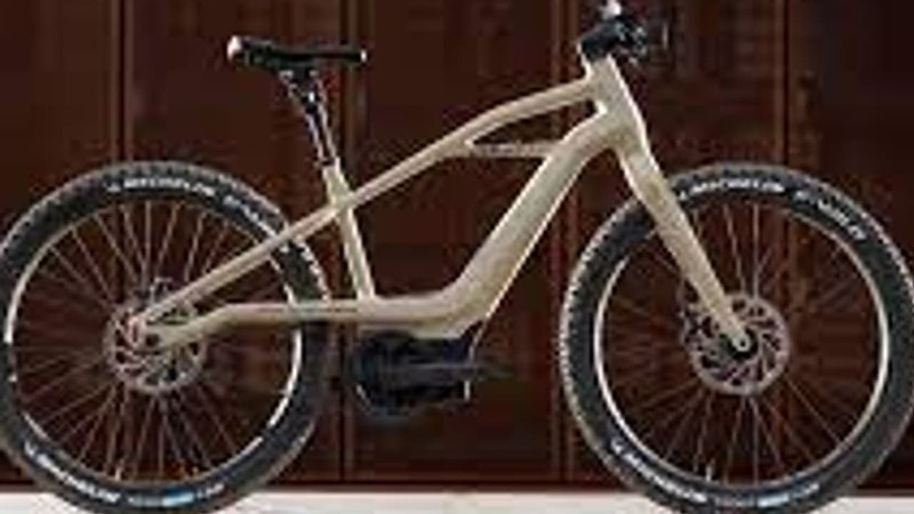 95 കിമീ റേഞ്ചുള്ള ഇലക്ട്രിക് മൗണ്ടൻ ബൈക്കുമായി ഹാർലി 