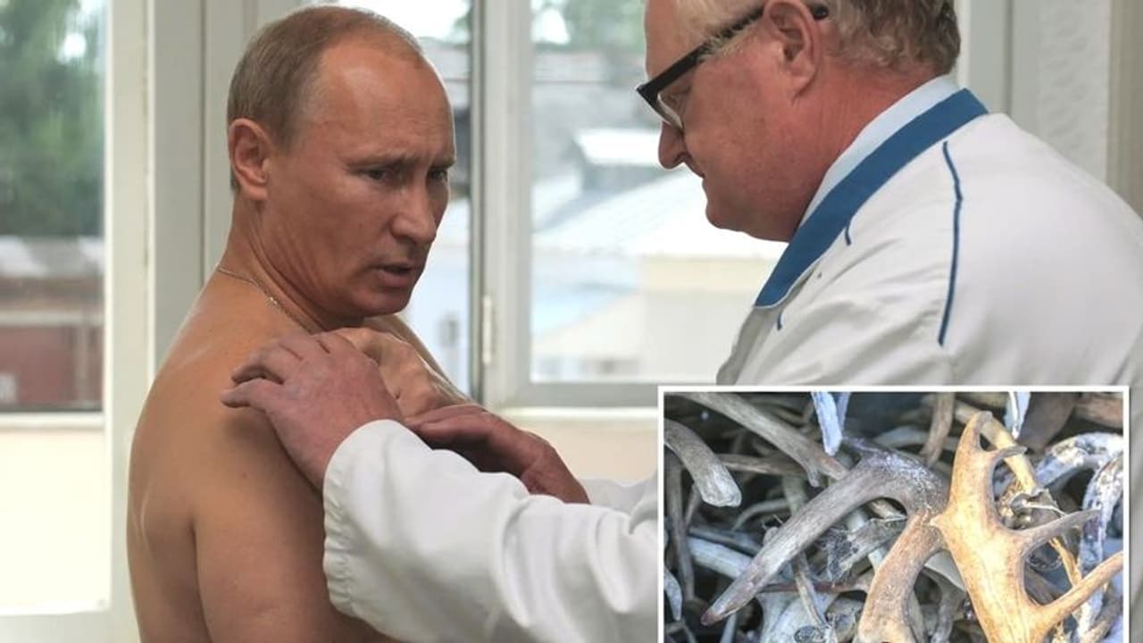Putin losing eyesight : தீவிர சிகிச்சையில் புதின்.. இன்னும் 3 ஆண்டு தான் உயிரோடு இருப்பார்.! அதிர்ச்சி தகவல் Putin losing eyesight : தீவிர சிகிச்சையில் புதின்.. இன்னும் 3 ஆண்டு தான் உயிரோடு இருப்பார்.! அதிர்ச்சி தகவல்