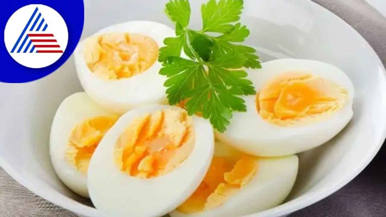 ಬ್ರೇಕ್‌ಫಾಸ್ಟ್‌ಗೆ ಯಾವಾಗ್ಲೂ ಮೊಟ್ಟೆ ತಿನ್ನೋದು ಆರೋಗ್ಯಕ್ಕೆ ಒಳ್ಳೇದಾ ?