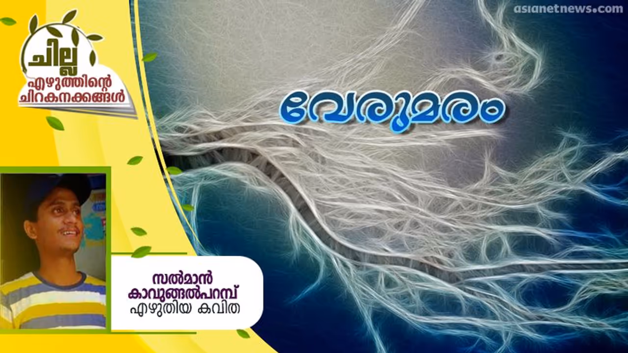 Malayalam Poem : വേരുമരം, സല്മാന് കാവുങ്ങല്പറമ്പ് എഴുതിയ കവിത Malayalam Poem : വേരുമരം, സല്മാന് കാവുങ്ങല്പറമ്പ് എഴുതിയ കവിത