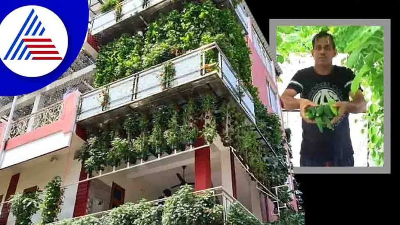 ಕಾಂಕ್ರೀಟ್ ಕಟ್ಟಡವಾಯಿತು ಹಚ್ಚ ಹಸಿರು, ಮೂರು ಅಂತಸ್ತಿನ ಮನೆಯಲ್ಲಿದೆ 10,000 ಗಿಡ ! ಕಾಂಕ್ರೀಟ್ ಕಟ್ಟಡವಾಯಿತು ಹಚ್ಚ ಹಸಿರು, ಮೂರು ಅಂತಸ್ತಿನ ಮನೆಯಲ್ಲಿದೆ 10,000 ಗಿಡ !