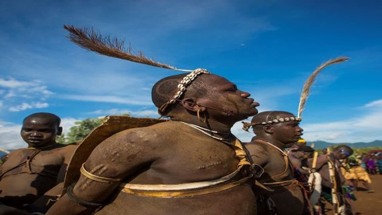 जिसकी तोंद ज्यादा वही हैंडसम, हीरो बनने के लिए पीना होगा गाय के खून और दूध का काॅकटेल जिसकी तोंद ज्यादा वही हैंडसम, हीरो बनने के लिए पीना होगा गाय के खून और दूध का काॅकटेल