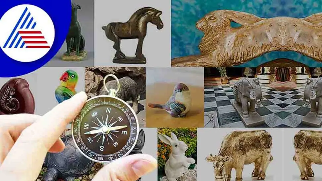 ಬೀದಿನಾಯಿಗೆ ಊಟ ಹಾಕಿದ್ರೆ ವಾಸ್ತು ದೋಷ ಪರಿಹಾರ! ಬೀದಿನಾಯಿಗೆ ಊಟ ಹಾಕಿದ್ರೆ ವಾಸ್ತು ದೋಷ ಪರಿಹಾರ!