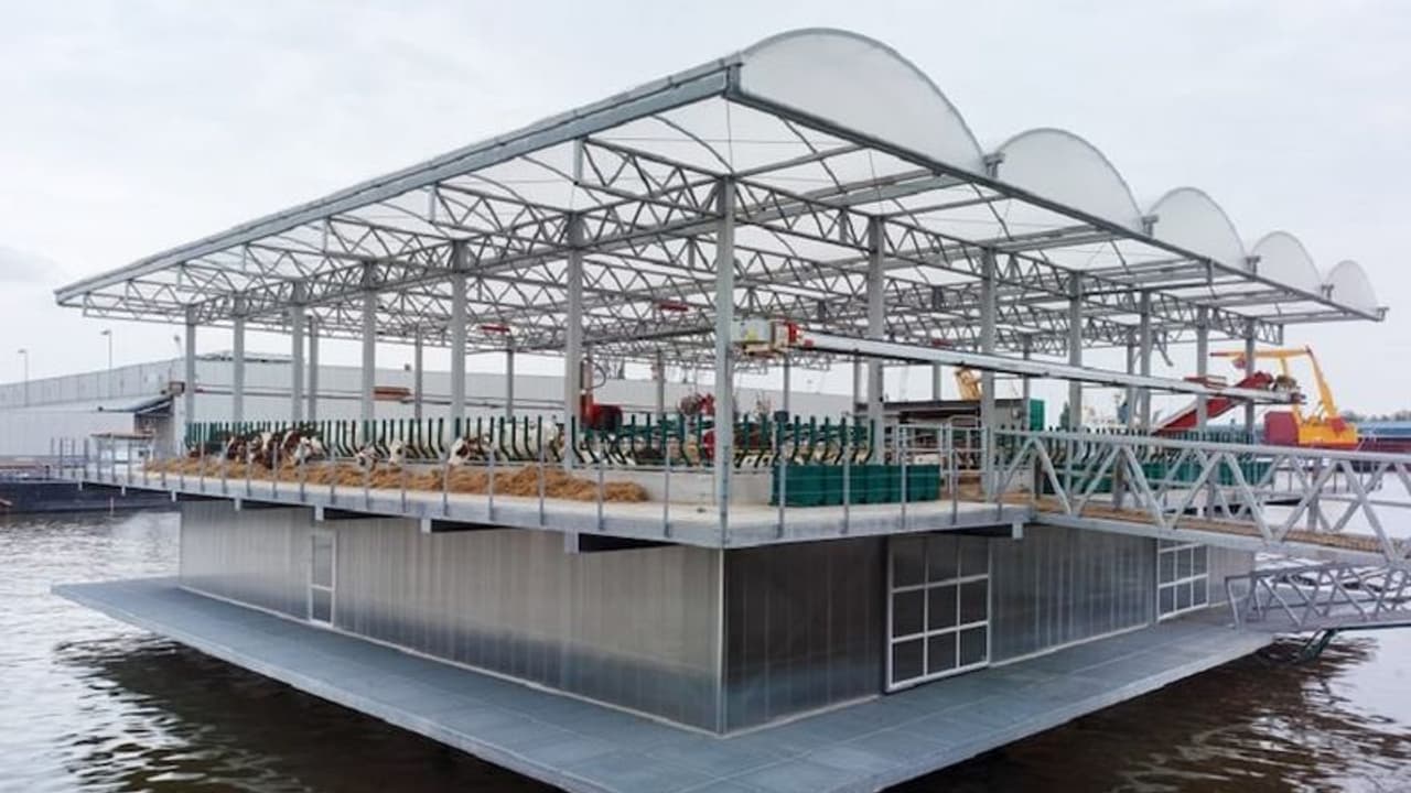 World Milk Day 2022: कहीं तैरता हुआ, तो कहीं है रोबोटिक डेयरी फार्म.. ये हैं अपने तरह के Top 5 दूध डेयरी