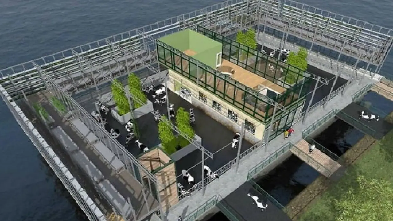 World Milk Day 2022: समुद्र में तैरता है यह डेयरी फार्म, रोबोट निकालता है दूध.. करोड़ों में होती है कमाई