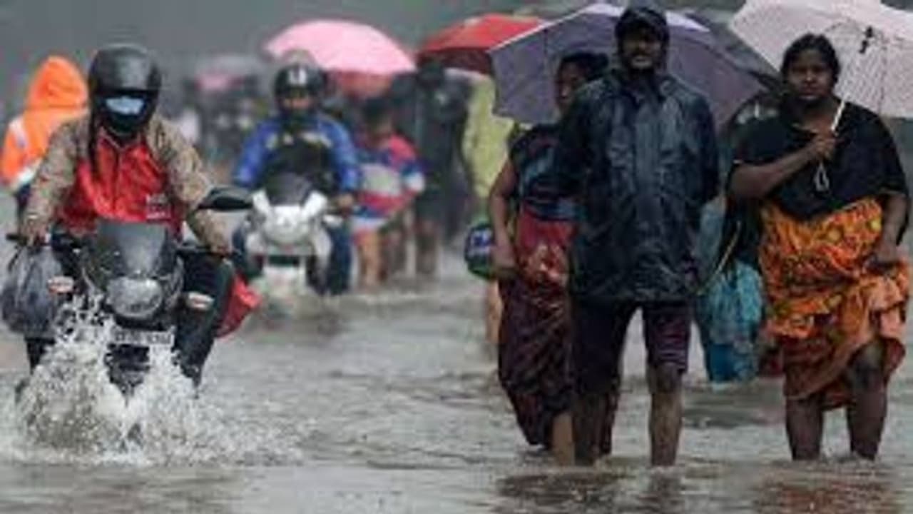 আজ জামাইষষ্ঠীর দিনে কি বেজায় গরম ? নাকি ঝাপিয়ে বৃষ্টি কলকাতা সহ বঙ্গে