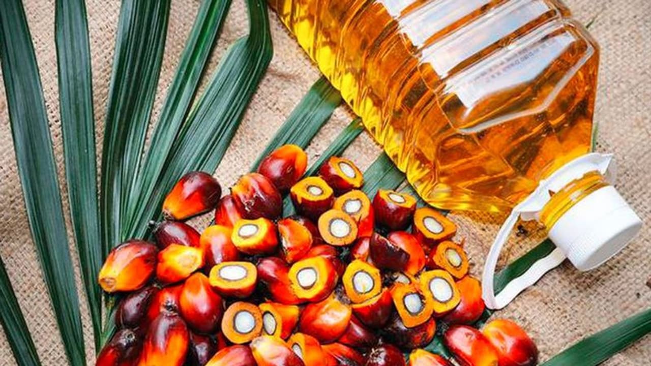 గ్యాస్ ధరలతో పాటు వంట నూనె ధరలపై కేంద్రం కీలక నిర్ణయం.. వెంటనే ఆదేశాలు జారీ..