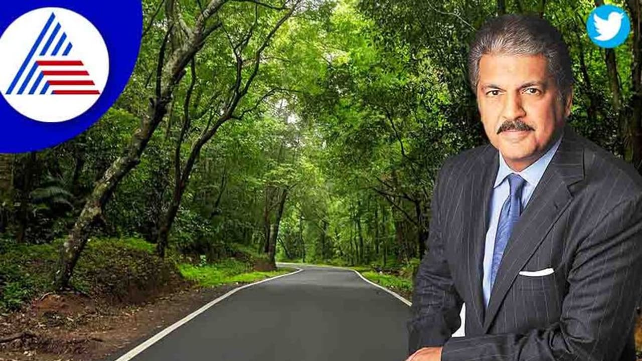 ಬೆಂಗಳೂರು ಉಡುಪಿ ರಸ್ತೆಯ ಜಂಗಲ್‌ ಡ್ರೈವ್‌ನ ಸುಂದರ ಫೋಟೋ ಶೇರ್ ಮಾಡಿದ ಆನಂದ್ ಮಹೀಂದ್ರಾ 