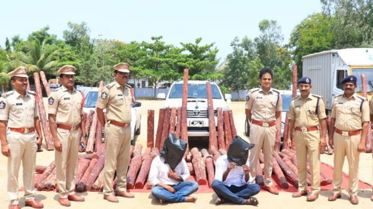 புஷ்பா பாணியில் செம்மரக்கட்டைகள் கடத்தல்.. செம சேஸிங்.. திமுக ஒன்றியக்குழு தலைவரின் கணவர் அதிரடி கைது.!