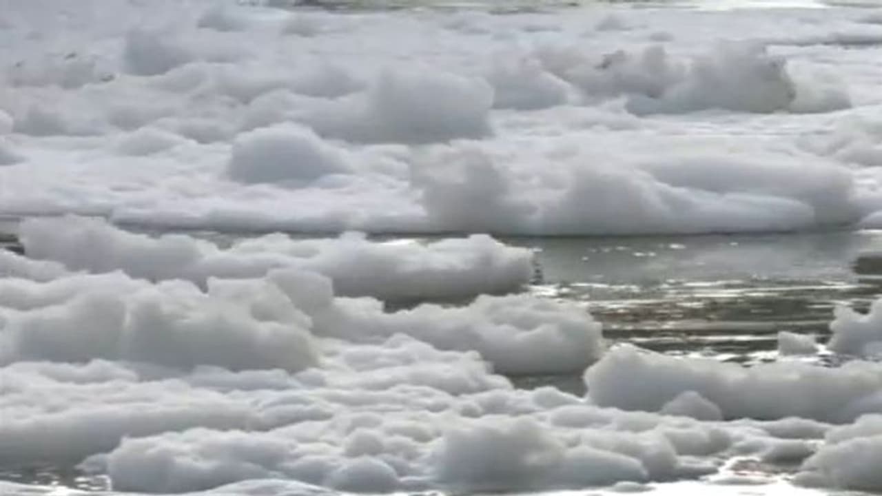 यमुना नदी में फिर दिखी जहरीले झाग की सफेद चादर, वीडियो हुआ वायरल 