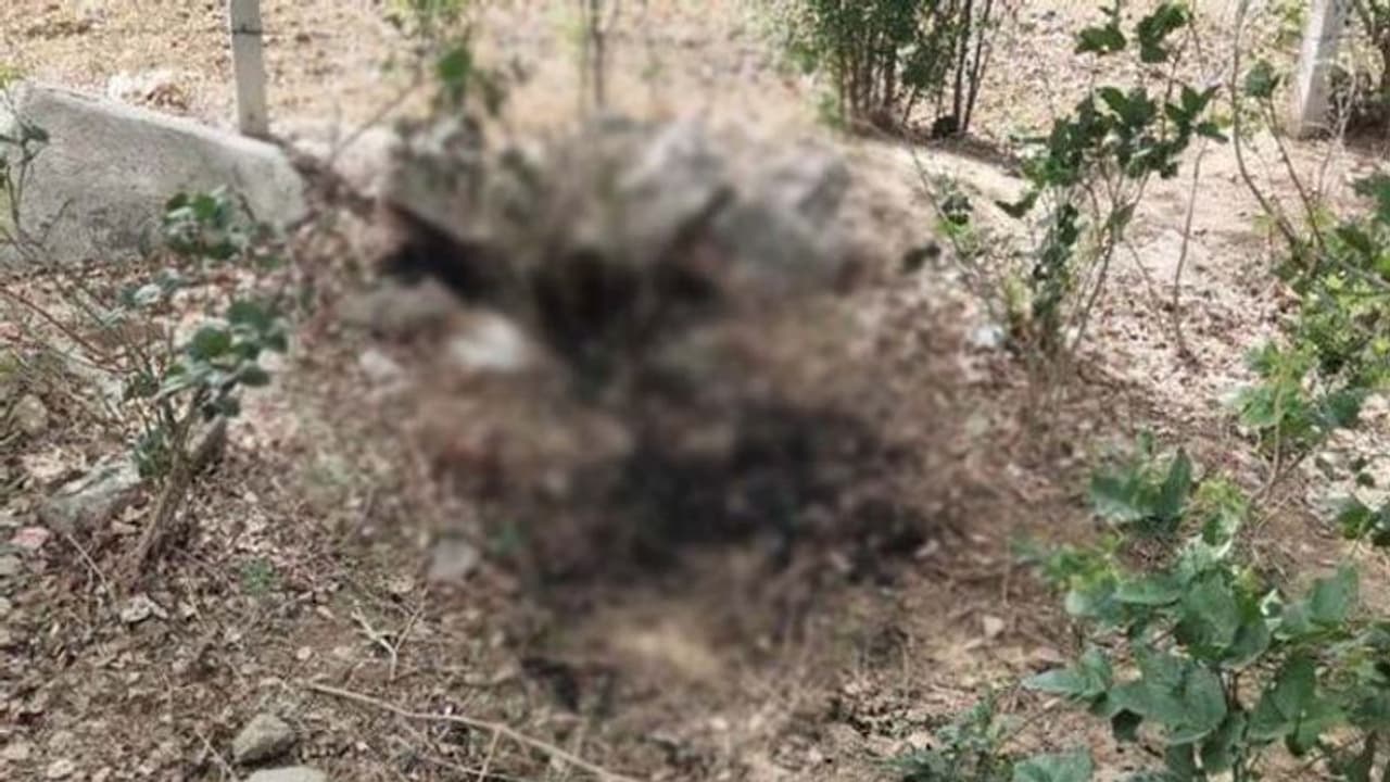 आगरा: सिपाही की लापता बेटी की हुई हत्या, सड़क किनारे जलते मिले शव की शिनाख्त के बाद हुआ खुलासा