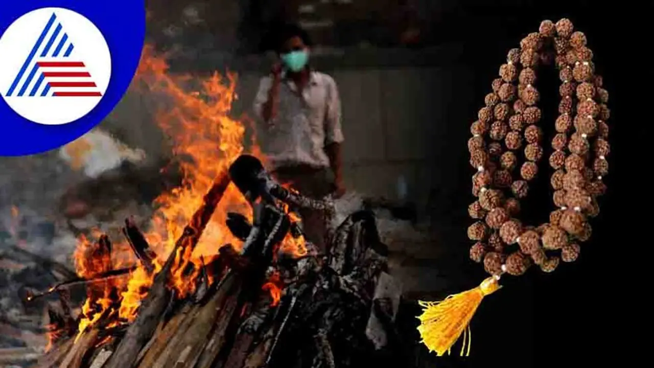  Astrology Tips : ರುದ್ರಾಕ್ಷಿ ಧರಿಸಿ ದೈಹಿಕ ಸಂಬಂಧ ಬೆಳೆಸಿದರೆ ಅಪಾಯ 