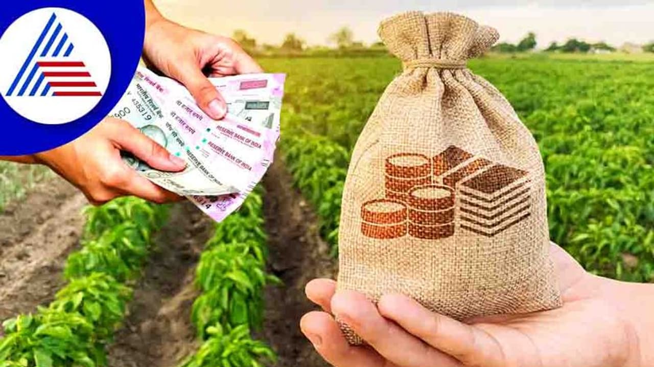 Business Ideas : 25 ಸಾವಿರ ಹೂಡಿಕೆಯ ಈ ಬ್ಯುಸಿನೆಸ್ನಲ್ಲಿ ಸಿಗುತ್ತೆ 3 ಲಕ್ಷ ಲಾಭ Business Ideas : 25 ಸಾವಿರ ಹೂಡಿಕೆಯ ಈ ಬ್ಯುಸಿನೆಸ್ನಲ್ಲಿ ಸಿಗುತ್ತೆ 3 ಲಕ್ಷ ಲಾಭ