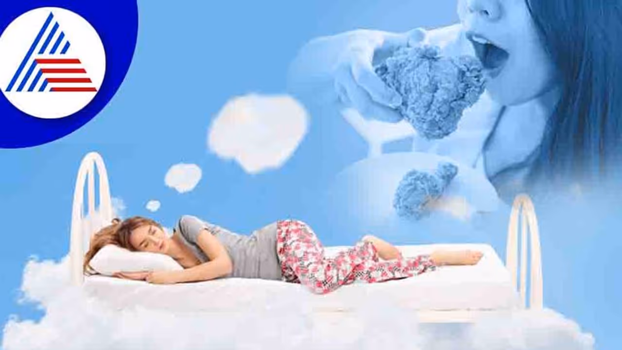 Dream Interpretation: ಕನಸಲ್ಲಿ ಚಿಕನ್ ತಿಂದ್ರೆ ಬಂಪರ್ ಲಾಟರಿ ಗ್ಯಾರಂಟಿ