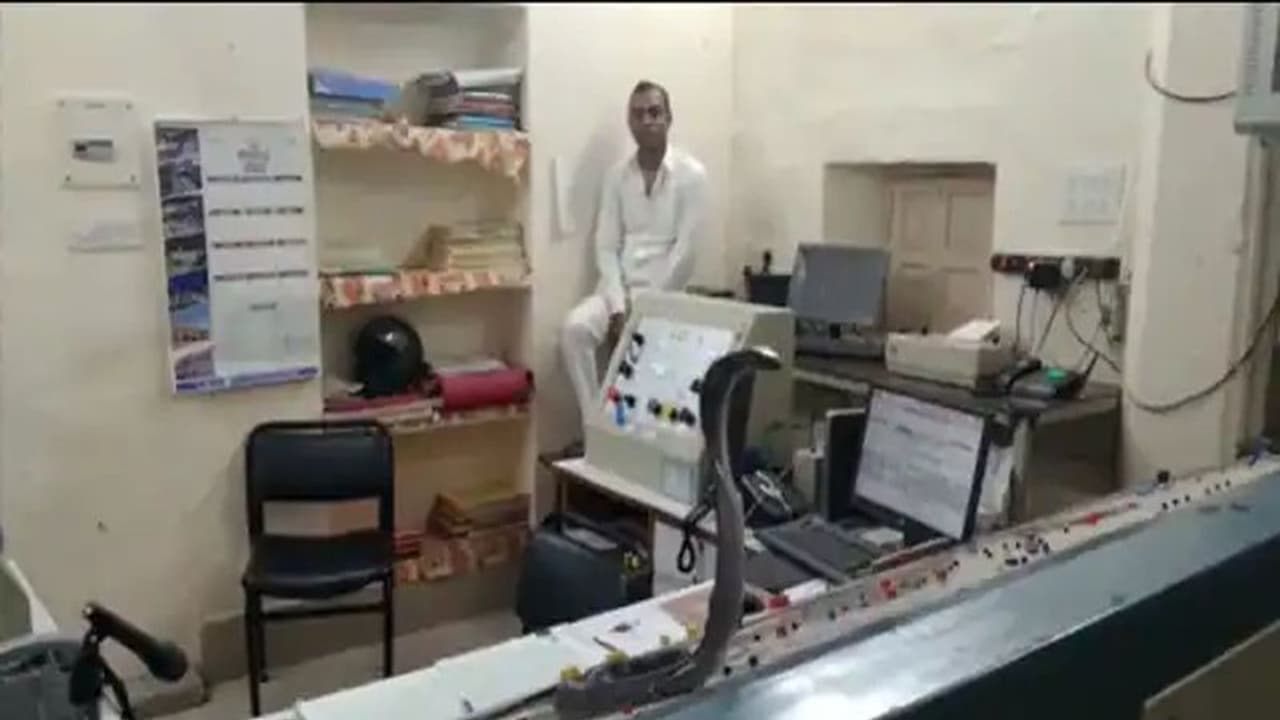 गुजर रही थी दो ट्रेनें और सिग्नल पैनल पर जा बैठा कोबरा सांप, स्टेशन मास्टर ने देखा तो फूले हाथ पांव