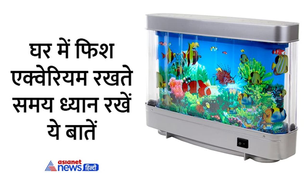 Feng Shui Tips For Fish Aquarium: पॉजिटिव एनर्जी बढ़ाता है फिश एक्वेरियम, लेकिन इसे गलत जगह रखने की भूल न करें Feng Shui Tips For Fish Aquarium: पॉजिटिव एनर्जी बढ़ाता है फिश एक्वेरियम, लेकिन इसे गलत जगह रखने की भूल न करें