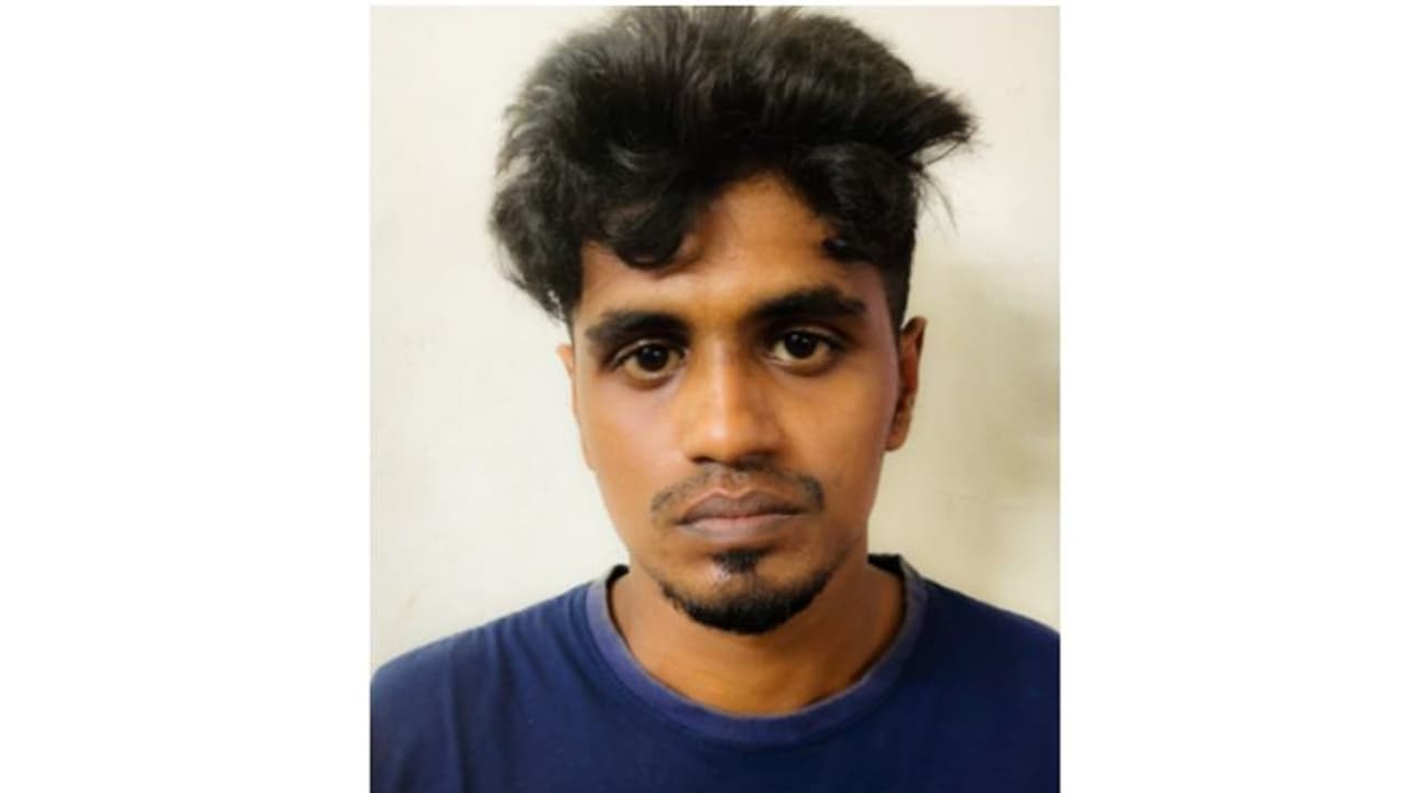 പ്ലൈവുഡുമായി ഒഡീഷയിലേക്ക് പോകും, കഞ്ചാവുമായി തിരികെവരും; ഒടുവിൽ മനുവിന് കുരുക്കിട്ട് പൊലീസ്