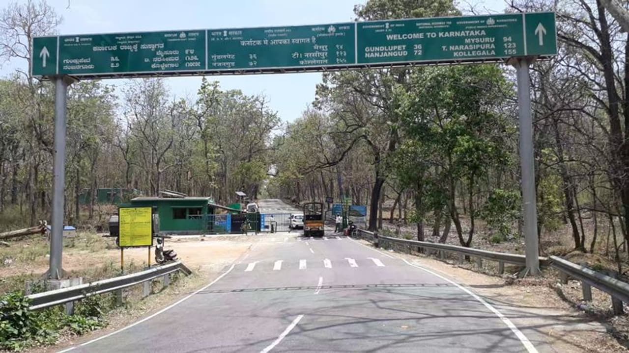 അഞ്ച് മാസം; വയനാട് അതിര്ത്തിവഴി കേരളത്തില് എത്തിയത് ഒരു കോടിയിലധികം രൂപയുടെ ന്യൂജെന് മയക്കുമരുന്ന് അഞ്ച് മാസം; വയനാട് അതിര്ത്തിവഴി കേരളത്തില് എത്തിയത് ഒരു കോടിയിലധികം രൂപയുടെ ന്യൂജെന് മയക്കുമരുന്ന്