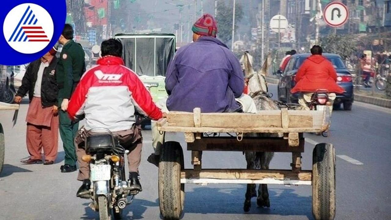 ಕತ್ತೆ ಮೇಲೆ ಆಫೀಸ್ ಗೆ ಬರ್ತೇನೆ ಪರ್ಮಿಷನ್ ಕೊಡಿ ಎಂದು ಕೇಳಿದ ಪಾಕ್ ಸರ್ಕಾರಿ ಉದ್ಯೊಗಿ! ಕತ್ತೆ ಮೇಲೆ ಆಫೀಸ್ ಗೆ ಬರ್ತೇನೆ ಪರ್ಮಿಷನ್ ಕೊಡಿ ಎಂದು ಕೇಳಿದ ಪಾಕ್ ಸರ್ಕಾರಿ ಉದ್ಯೊಗಿ!