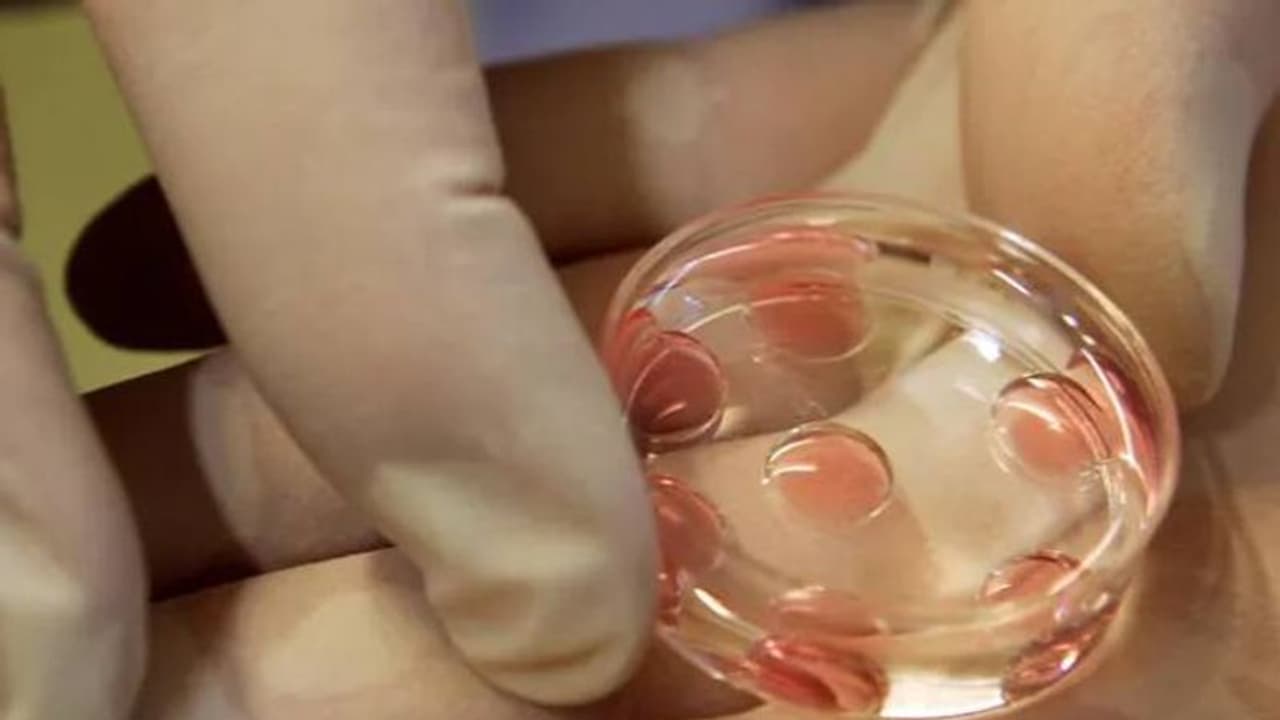 16 കാരിയുടെ അണ്ഡം വിറ്റു, അമ്മയും രണ്ടാനച്ഛനും ഇടനിലക്കാരിയും അറസ്റ്റിൽ