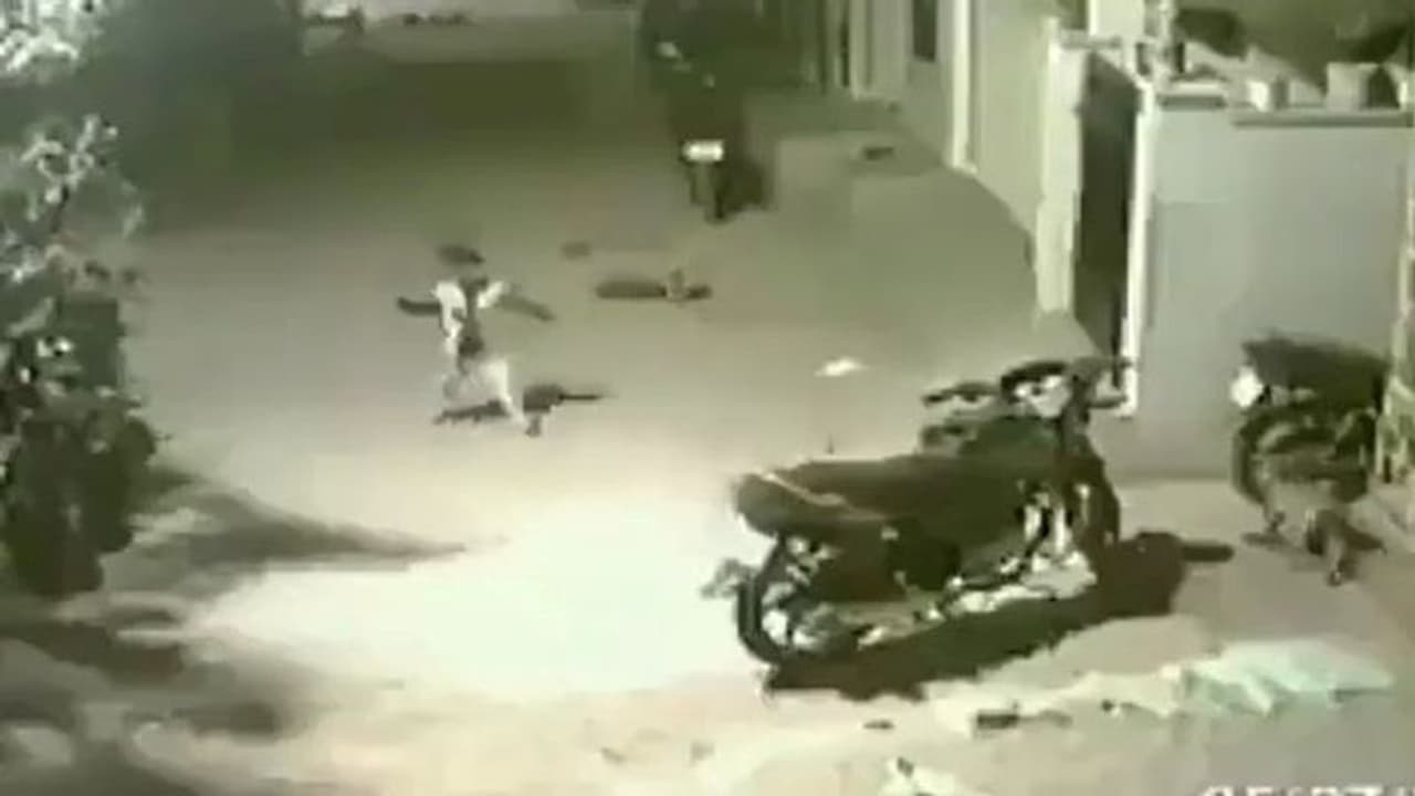 अंधेरे में पैदल जा रहे थे दो बच्चे, अचानक आए 4 कुत्ते और फिर जो हुआ आप यकीन नहीं करेंगे