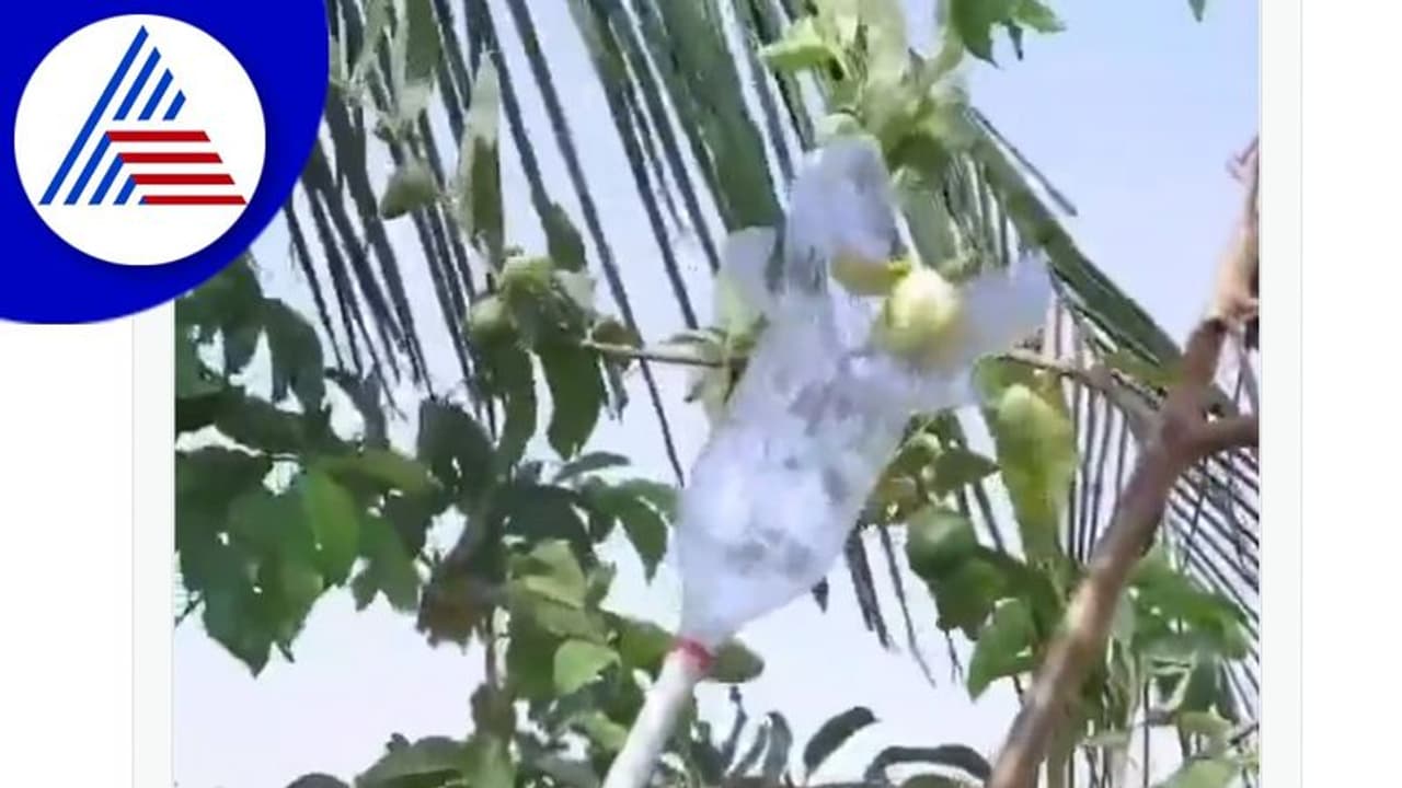 ಯುವಕನ ಖತರ್ನಾಕ್ ಐಡಿಯಾಕ್ಕೆ ಫಿದಾ ಆದ ಆನಂದ್ ಮಹೀಂದ್ರಾ: ವಿಡಿಯೋ ವೈರಲ್‌