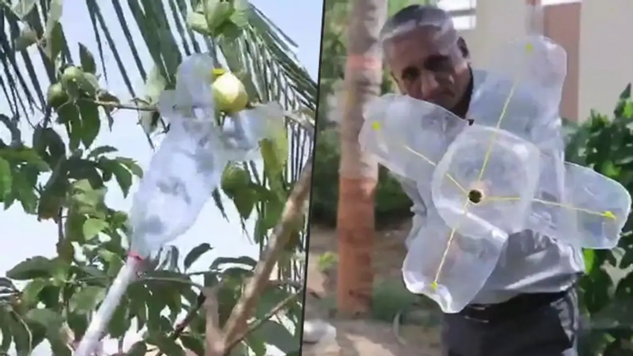 Man’s unique fruit picking tool earns praises from Anand Mahindra; watch Man’s unique fruit picking tool earns praises from Anand Mahindra; watch