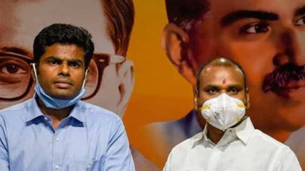 அடுத்த 25 ஆண்டுகள் நமக்கு மிகவும் முக்கியமானது; மத்திய அமைச்சர் எல்.முருகன் பேச்சு அடுத்த 25 ஆண்டுகள் நமக்கு மிகவும் முக்கியமானது; மத்திய அமைச்சர் எல்.முருகன் பேச்சு