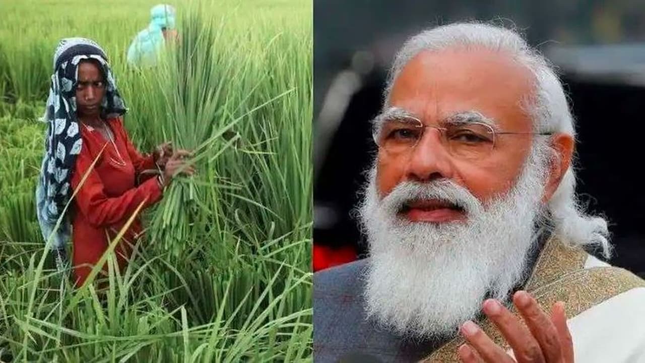 PM KISAN: பிஎம் கிசான் 12 வது தவணையை விடுவித்தார் பிரதமர் மோடி: விவசாயிகளுக்கு ரூ.16ஆயிரம் கோடி உதவி