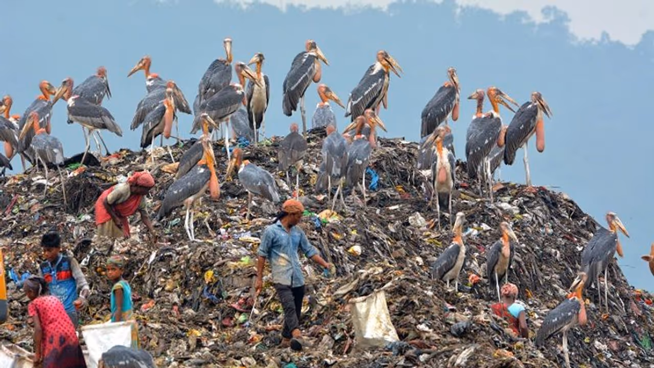 ಈ ನಗರದಲ್ಲಿ ಚಿಂದಿ ಆಯುವವರ ನಿತ್ಯದ ಆದಾಯ 5 ಕೋಟಿ ರುಪಾಯಿ!