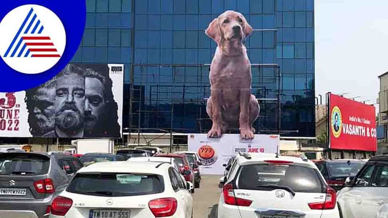 777 Charlie; ಚೆನ್ನೈನಲ್ಲಿ ಕುಳಿತ ಚಾರ್ಲಿ ನೋಡಿ ಬೆರಗಾದ ಫ್ಯಾನ್ಸ್, ಫೋಟೋ ವೈರಲ್ 