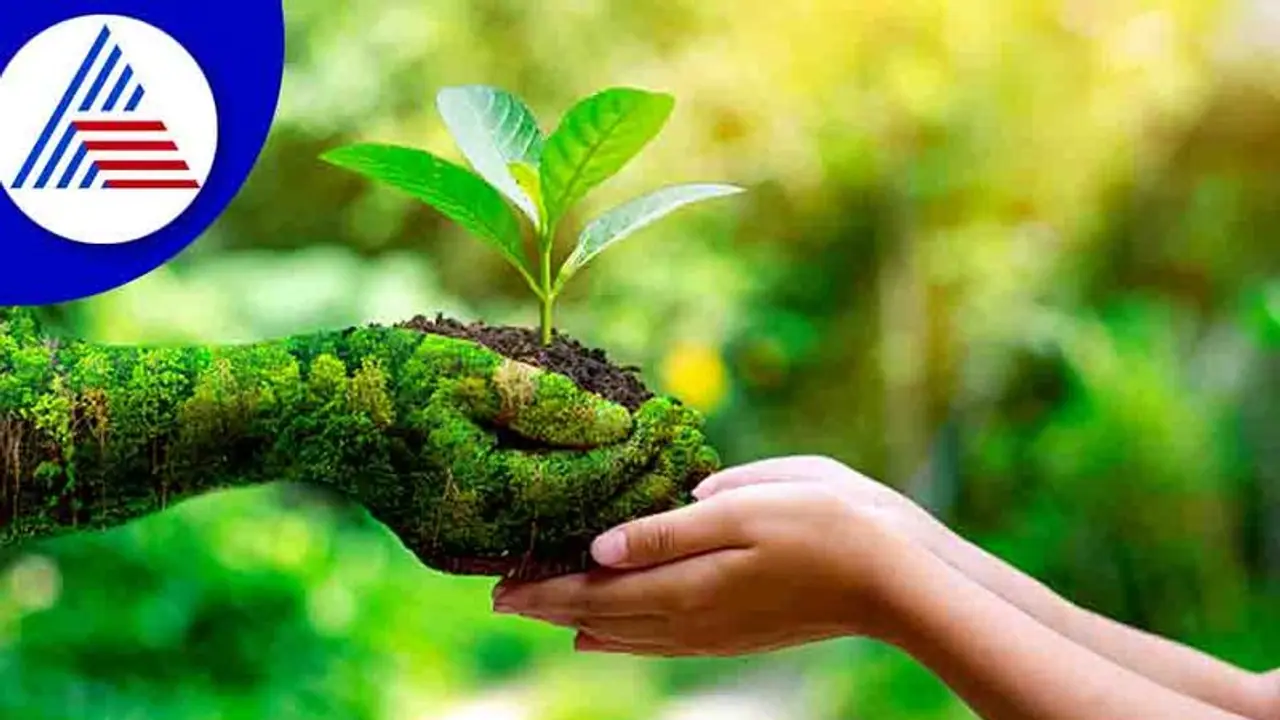 World Environment Day: ಎಲ್ಲರಿಗೂ 'ಒಂದೇ ಒಂದು ಭೂಮಿ', ಪರಿಸರ ಉಳಿಸಿ, ಬೆಳೆಸಿ