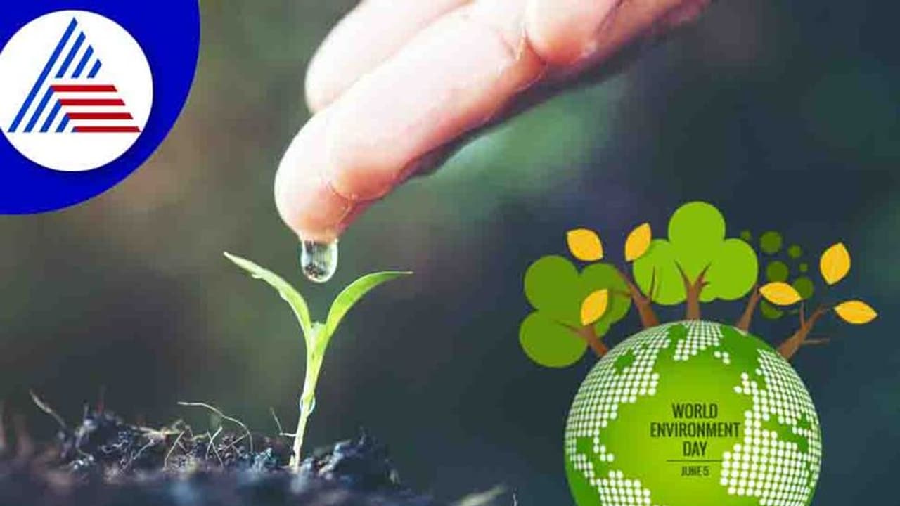 ಭೂಮಿ ತಾಯಿಯ ರಕ್ಷಣೆ, ನಮ್ಮೆಲ್ಲರ ಹೊಣೆ: ಪರಿಸರವನ್ನು ಉಳಿಸಲು ನಾವೇನು ಮಾಡಬಹುದು ? ಭೂಮಿ ತಾಯಿಯ ರಕ್ಷಣೆ, ನಮ್ಮೆಲ್ಲರ ಹೊಣೆ: ಪರಿಸರವನ್ನು ಉಳಿಸಲು ನಾವೇನು ಮಾಡಬಹುದು ?