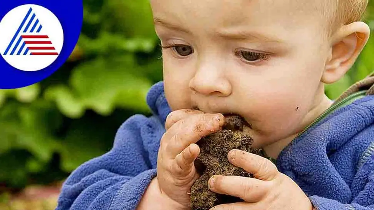 Parenting Tips : ಮಣ್ಣು ತಿನ್ನುವ ಮಕ್ಕಳಿಗೆ ಇದನ್ನು ಕೊಟ್ಟು ನೋಡಿ