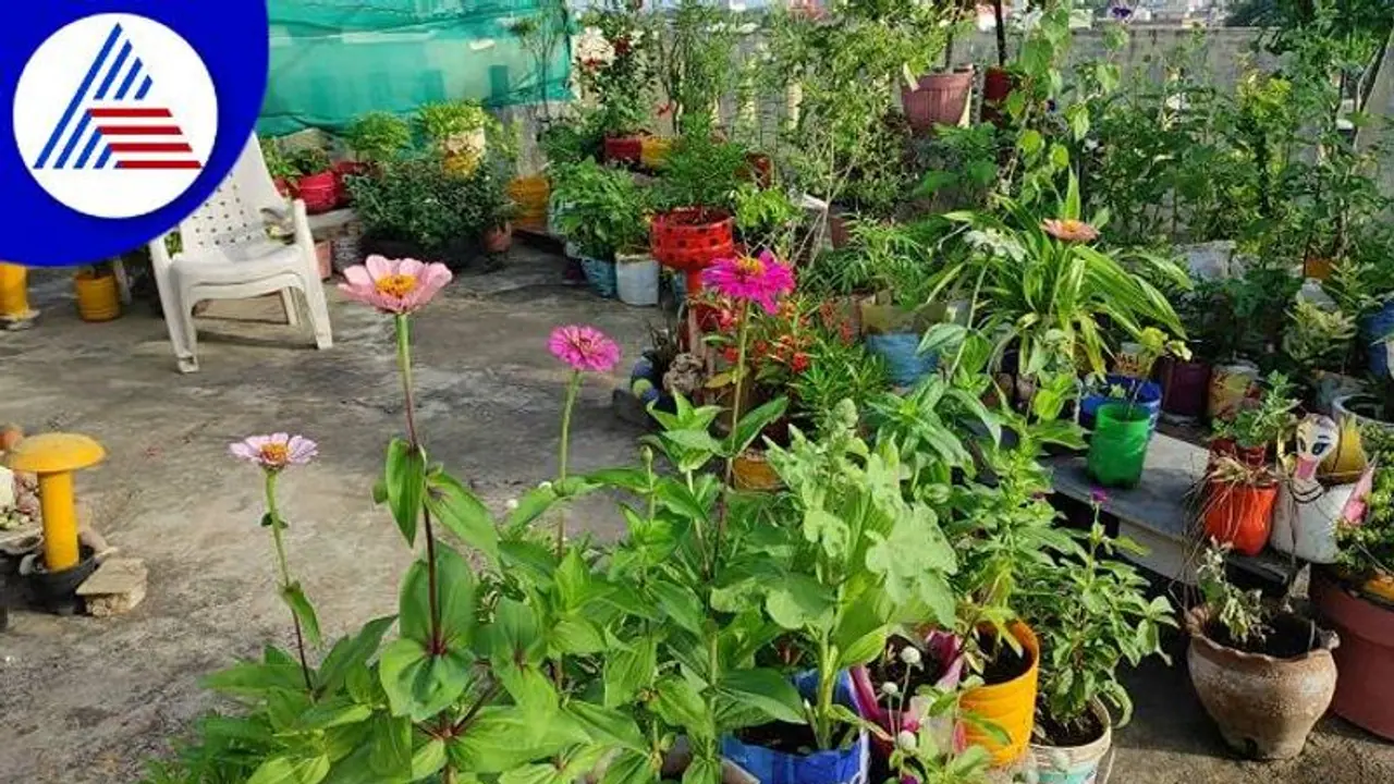 ಅಪೌಷ್ಟಿಕತೆ ನಿರ್ಮೂಲನೆಗೆ ಮನೆಗೊಂದು ತೋಟ: ವಿಜಯನಗರದಲ್ಲಿ ವಿನೂತನ ಕಾರ್ಯ..!