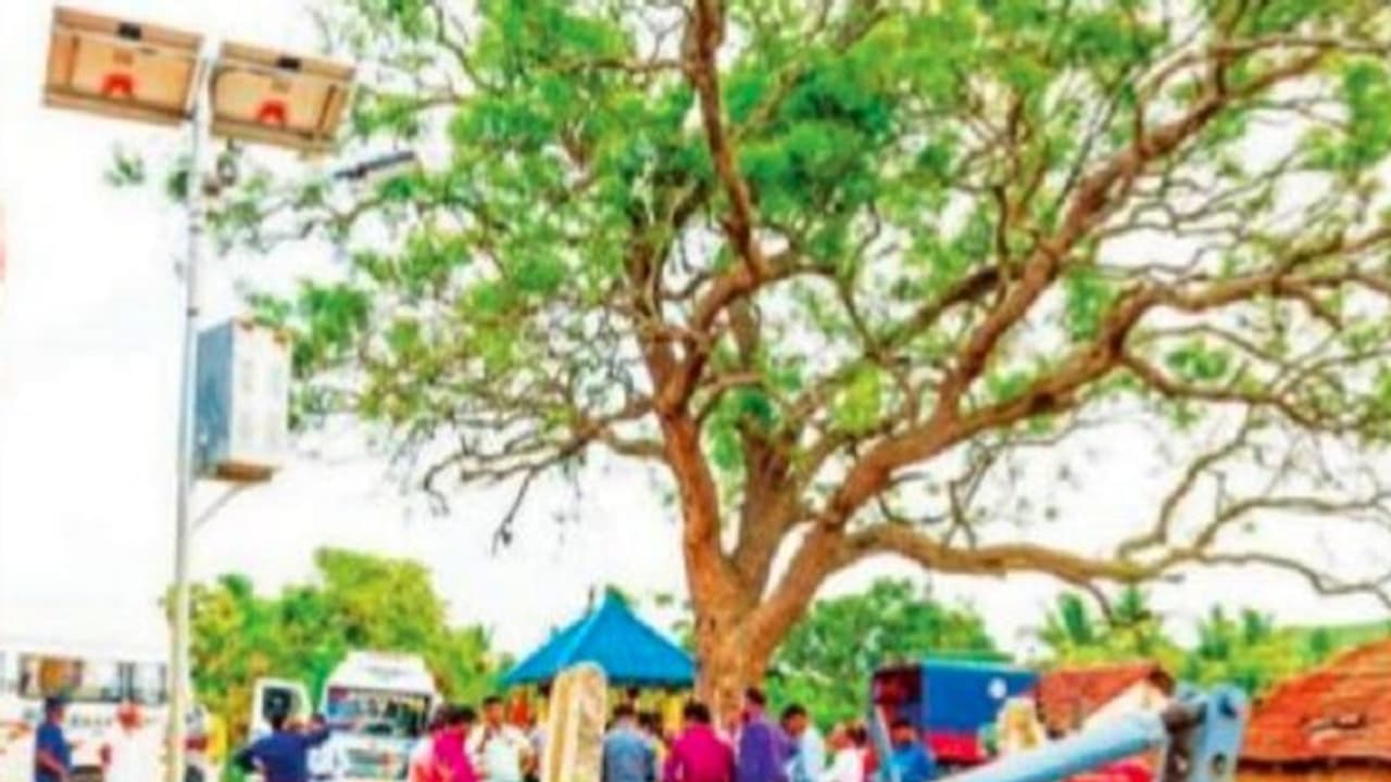 ಮಂಗಳೂರು: ಸೋಲಾರ್ ರೆಡಿಯೋದಿಂದ ರೈತರಿಗೆ ಕೃಷಿ ಮಾಹಿತಿ ಮಂಗಳೂರು: ಸೋಲಾರ್ ರೆಡಿಯೋದಿಂದ ರೈತರಿಗೆ ಕೃಷಿ ಮಾಹಿತಿ