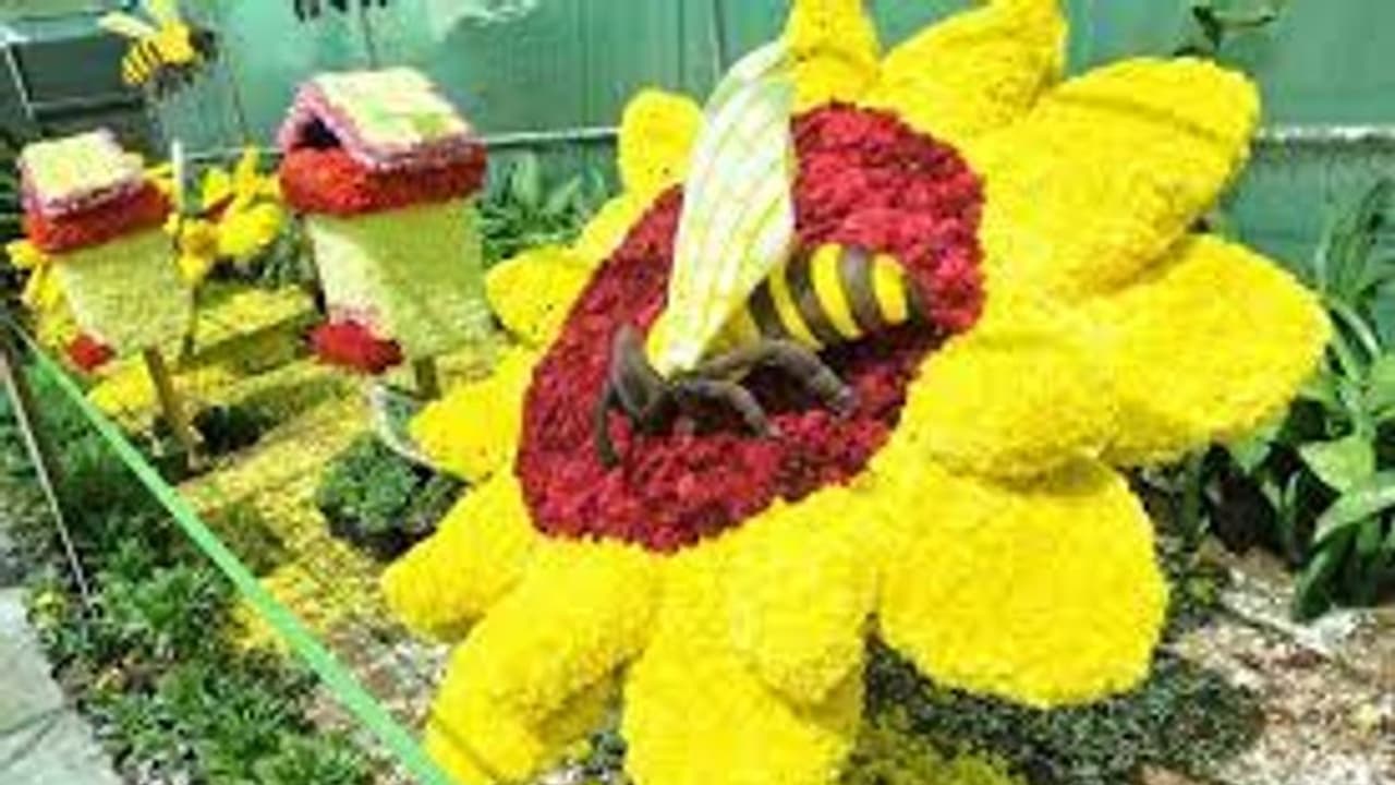 சென்னை மலர்க் கண்காட்சி.. வெறும் 2 நாட்களில் ரூ.8.35 லட்சம் கட்டணம் வசூல்.. இன்றுடன் நிறைவு.. சென்னை மலர்க் கண்காட்சி.. வெறும் 2 நாட்களில் ரூ.8.35 லட்சம் கட்டணம் வசூல்.. இன்றுடன் நிறைவு..