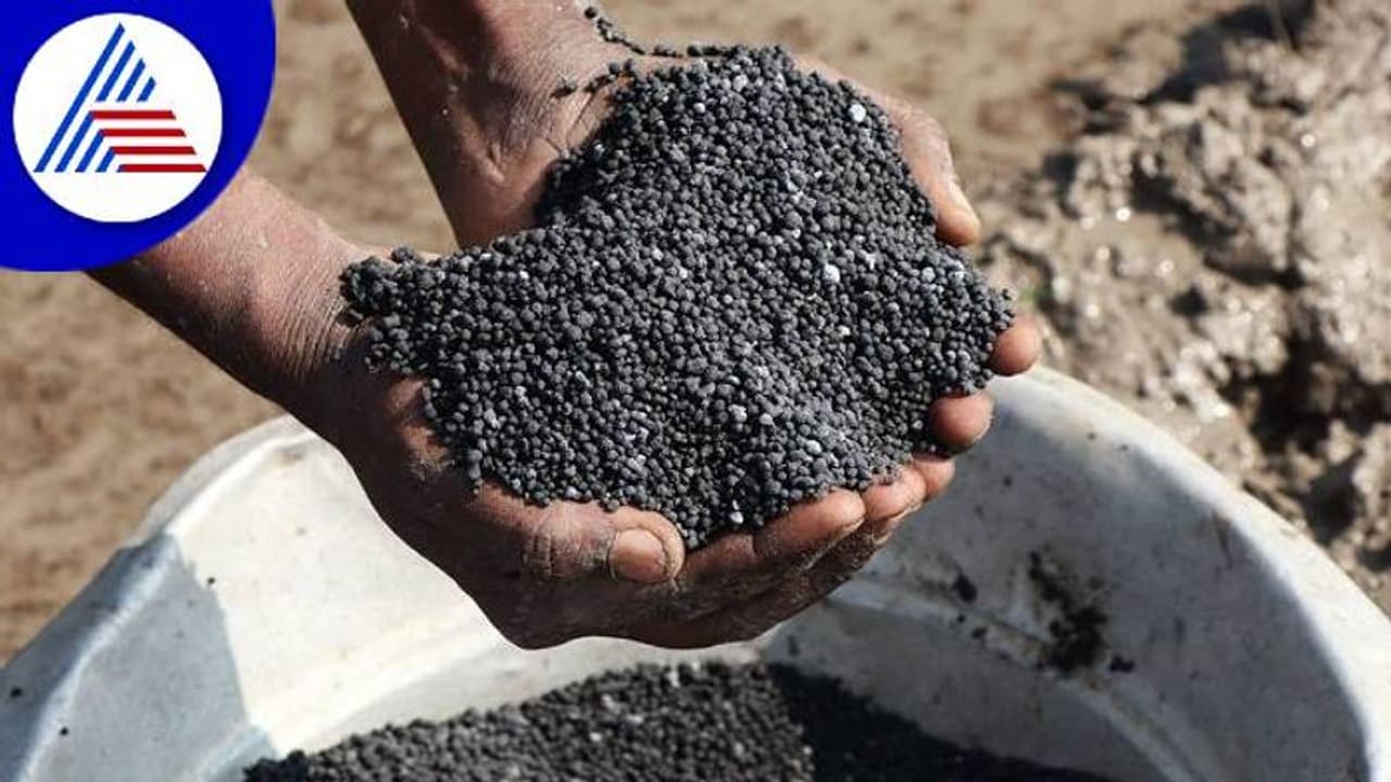 ಮುಂಗಾರು ಖುಷಿ ಕಸಿದ ರಸಗೊಬ್ಬರ ಬೆಲೆ ಏರಿಕೆ: ರೈತರು ಕಂಗಾಲು ಮುಂಗಾರು ಖುಷಿ ಕಸಿದ ರಸಗೊಬ್ಬರ ಬೆಲೆ ಏರಿಕೆ: ರೈತರು ಕಂಗಾಲು