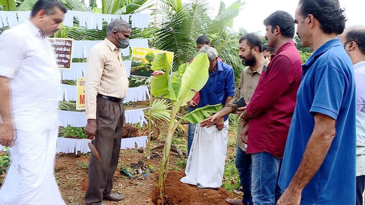 'ശബ്ദിക്കാത്ത 99 എംഎൽഎമാർക്ക് പകരം വാഴ നട്ടു; പരിസ്ഥിതി ദിനത്തിൽ വേറിട്ട കെ റെയിൽ വിരുദ്ധ പ്രതിഷേധം 'ശബ്ദിക്കാത്ത 99 എംഎൽഎമാർക്ക് പകരം വാഴ നട്ടു; പരിസ്ഥിതി ദിനത്തിൽ വേറിട്ട കെ റെയിൽ വിരുദ്ധ പ്രതിഷേധം