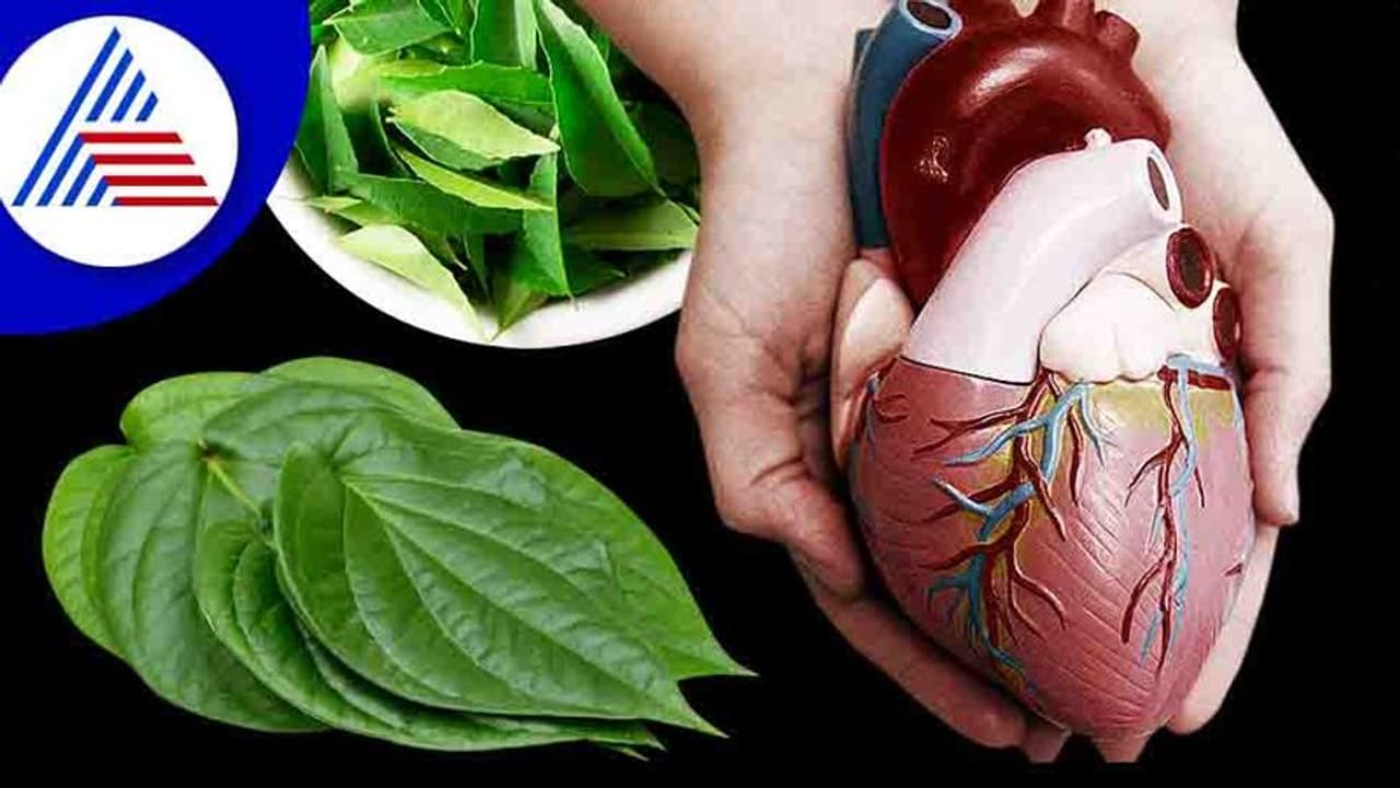 ಅಲ್ಲಿ ನೋವು, ಇಲ್ಲಿ ನೋವು ಅಂತ ಸಿಕ್ಕಾಪಟ್ಟೆ ಕ್ಯಾಲ್ಸಿಯಂ ತಿಂತೀರಾ? ಹಾರ್ಟ್ ಅಟ್ಯಾಕ್ ಆಗ್ಬಹುದು ಜೋಕೆ ! ಅಲ್ಲಿ ನೋವು, ಇಲ್ಲಿ ನೋವು ಅಂತ ಸಿಕ್ಕಾಪಟ್ಟೆ ಕ್ಯಾಲ್ಸಿಯಂ ತಿಂತೀರಾ? ಹಾರ್ಟ್ ಅಟ್ಯಾಕ್ ಆಗ್ಬಹುದು ಜೋಕೆ !