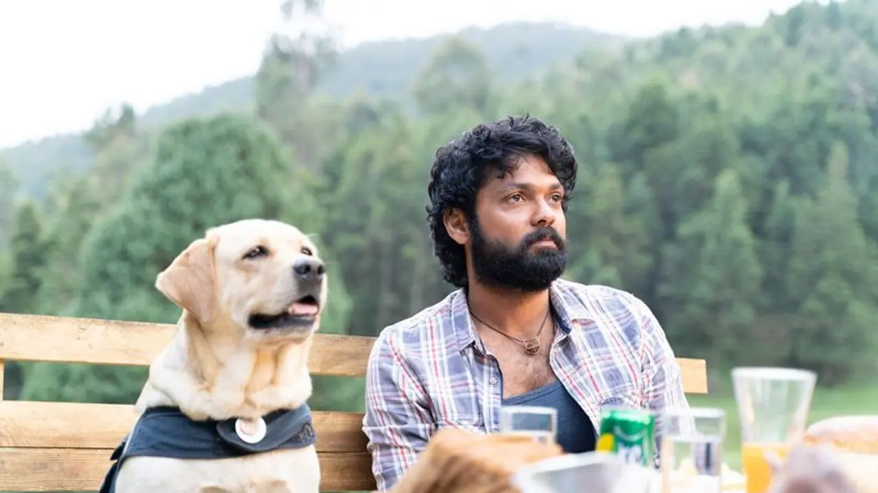 Bigg Boss Kannada 10: Rakshit Shetty's dog 'Charlie' to enter Kichcha Sudeep's reality show; read details